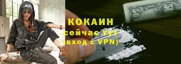 амф Богданович