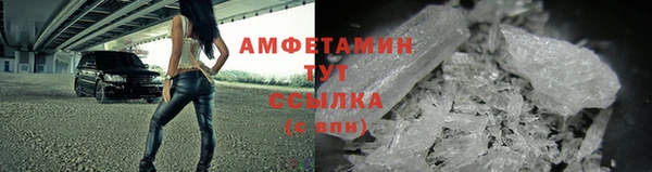 амф Богданович