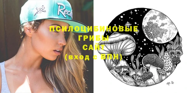 твердый Богородицк