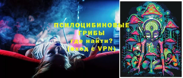 амф Богданович